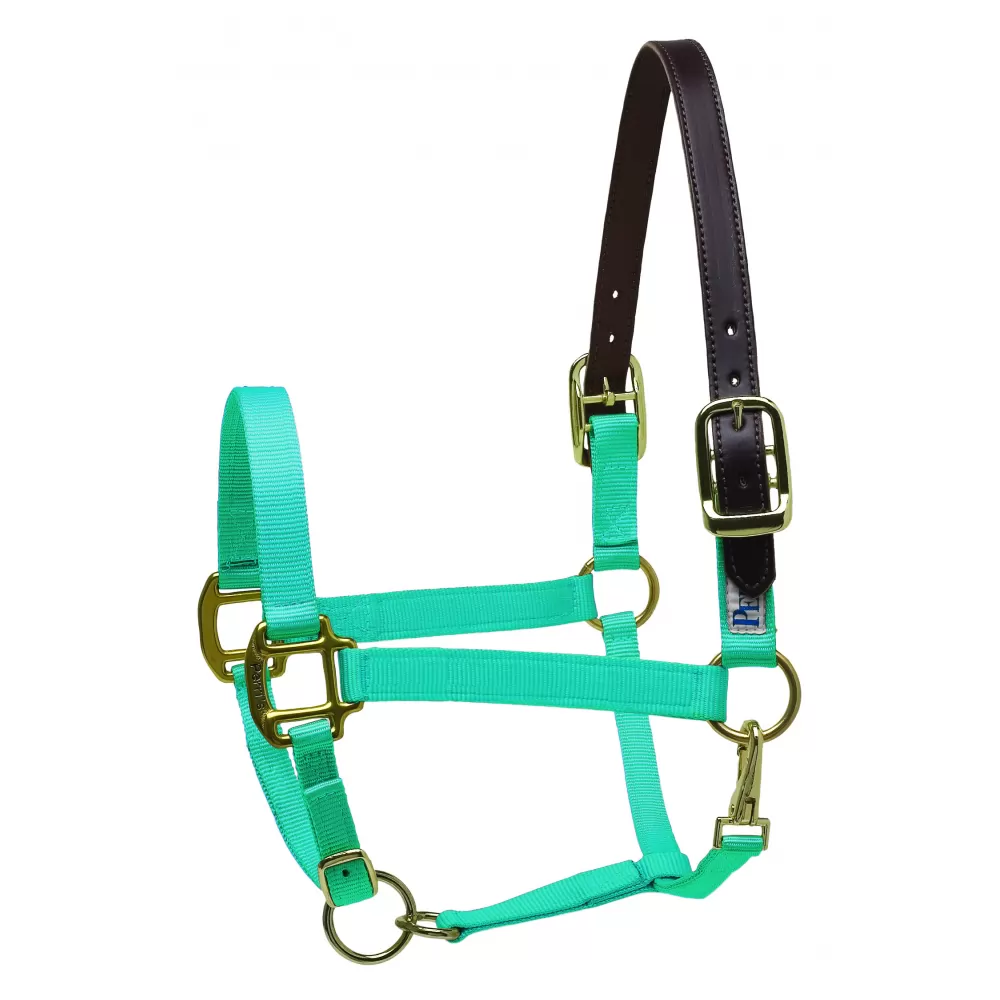 Perris Premium Nylon Safety Halter - Image 6