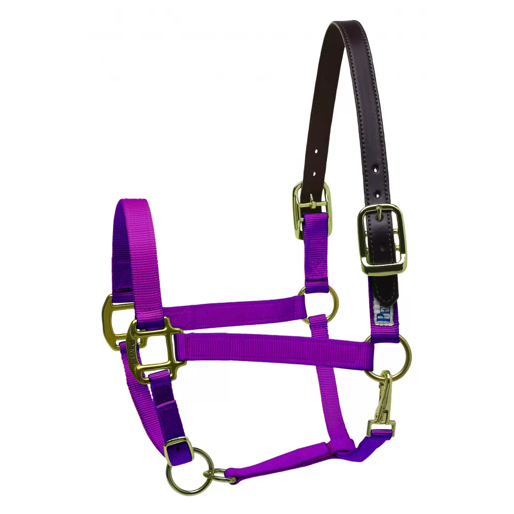 Perris Premium Nylon Safety Halter - Image 8