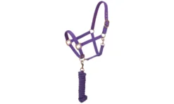 Tough-1 Neoprene Padded Halter With Antique Hardware Lead Set