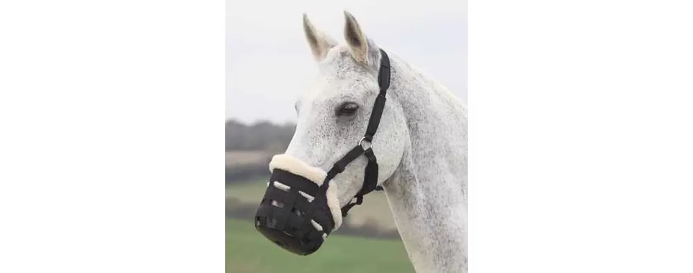 Shires Deluxe Grass Muzzle - Image 2