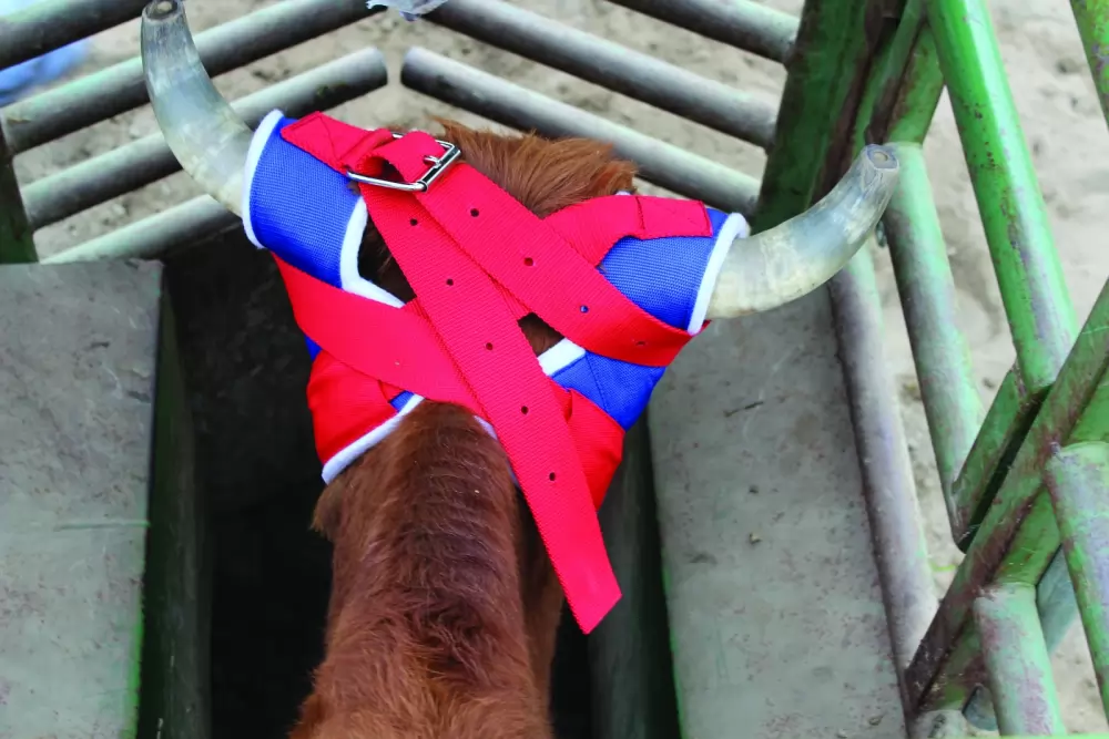 Professionals Choice Horn Wrap - Image 2