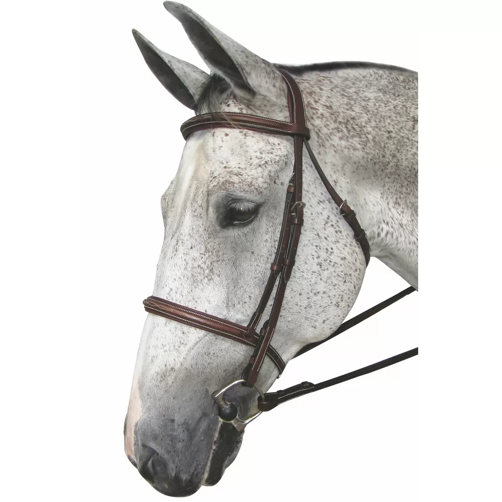 Henri De Rivel Pro Stress Free Fancy Padded Bridle - Image 2