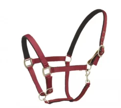 Centaur Cushion Web Breakaway Halter