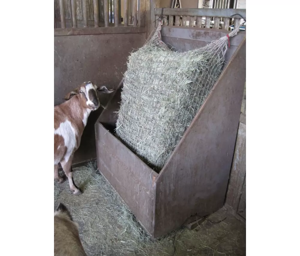 Freedom Feeder Full Bale Net/3 String Bale - Image 4