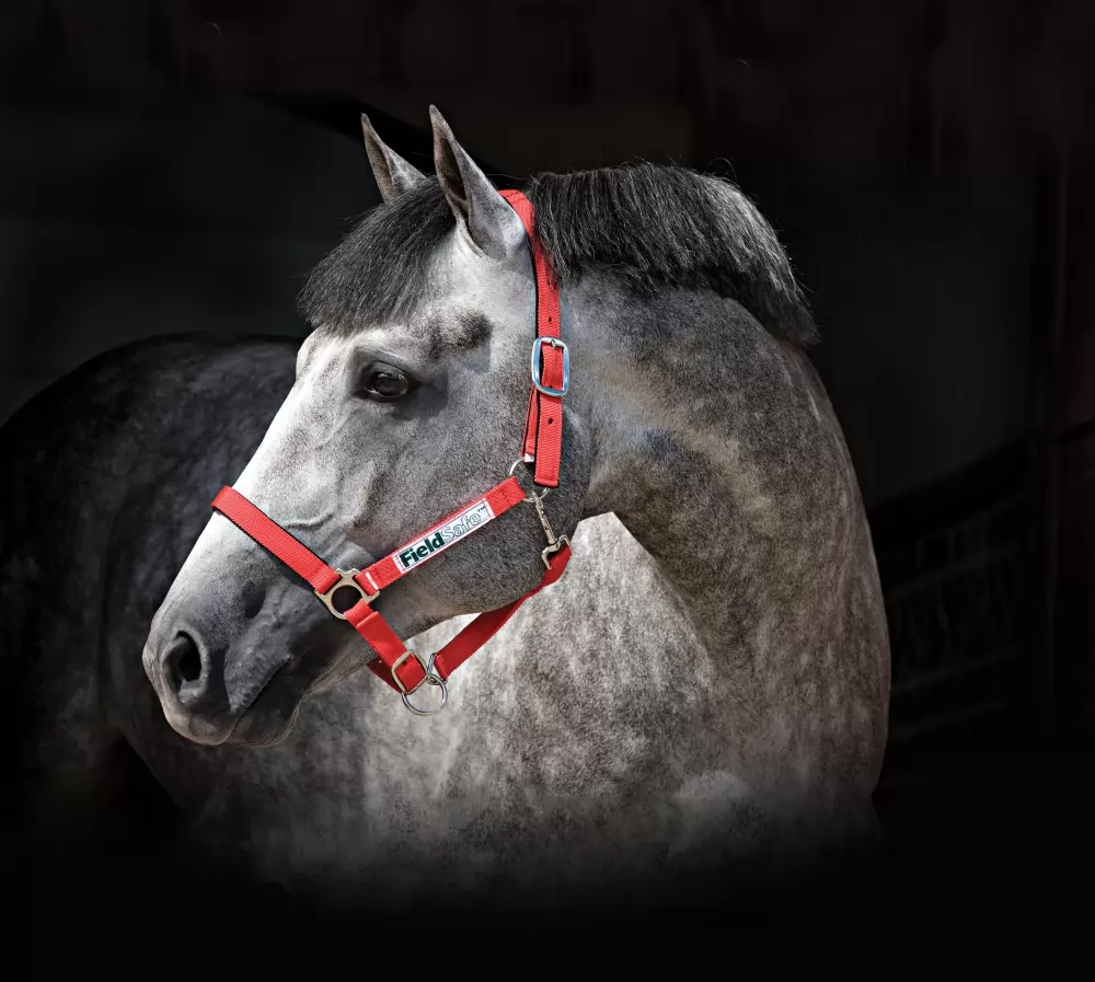 Rambo Fieldsafe Halter - Image 2