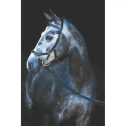 Rambo Micklem Competition Reins