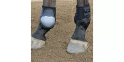 Professionals Choice Pro Performance Fetlock Boots