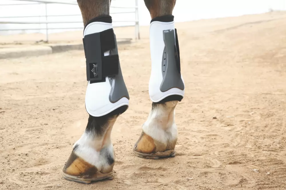 Professionals Choice Pro Performance Show Boots - Front - Image 2