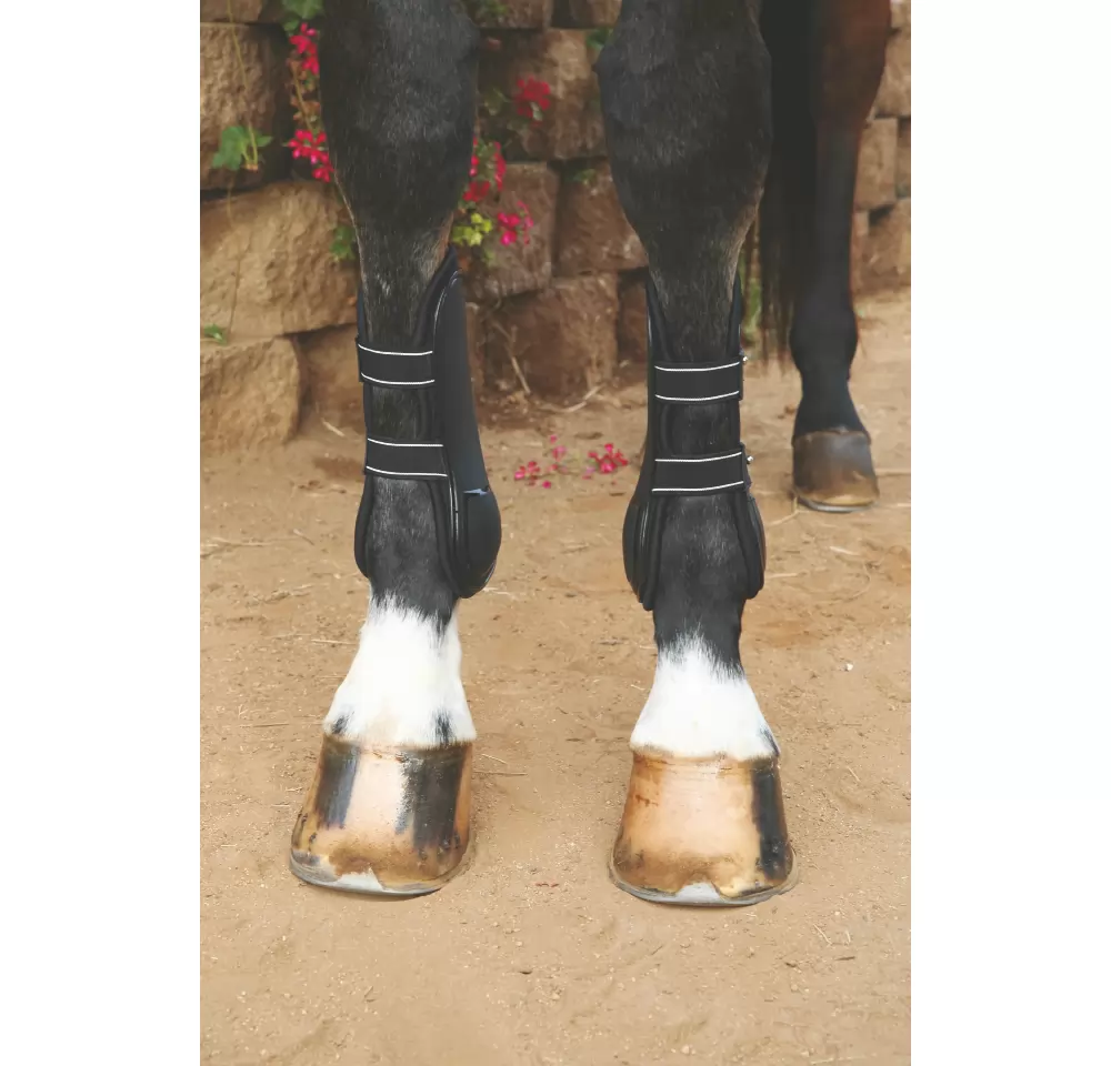 Professionals Choice Pro Performance Show Boots - Front, TPU Fasteners - Image 2