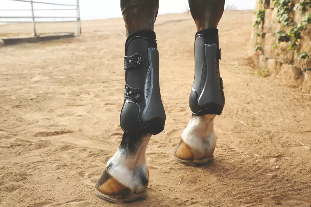 Professionals Choice Pro Performance Show Boots - Front, TPU Fasteners