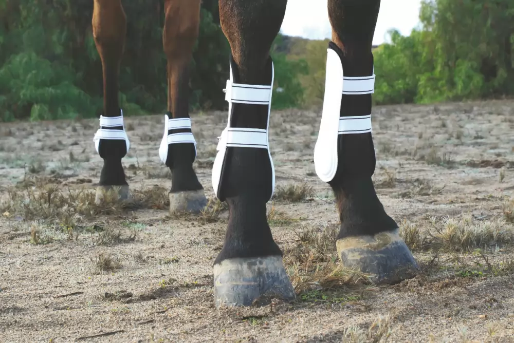 Professionals Choice Pro Performance Show Boots - Front, TPU Fasteners - Image 3