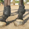 Professionals Choice Pro Performance Show Boots - Rear, TPU Fasteners