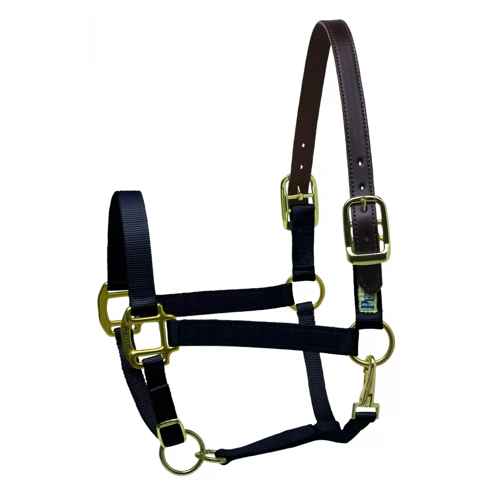 Perris Premium Nylon Safety Halter - Image 2