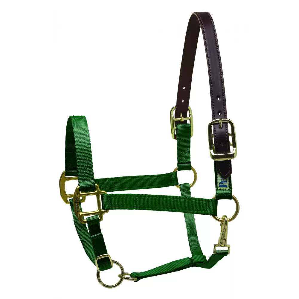 Perris Premium Nylon Safety Halter - Image 3