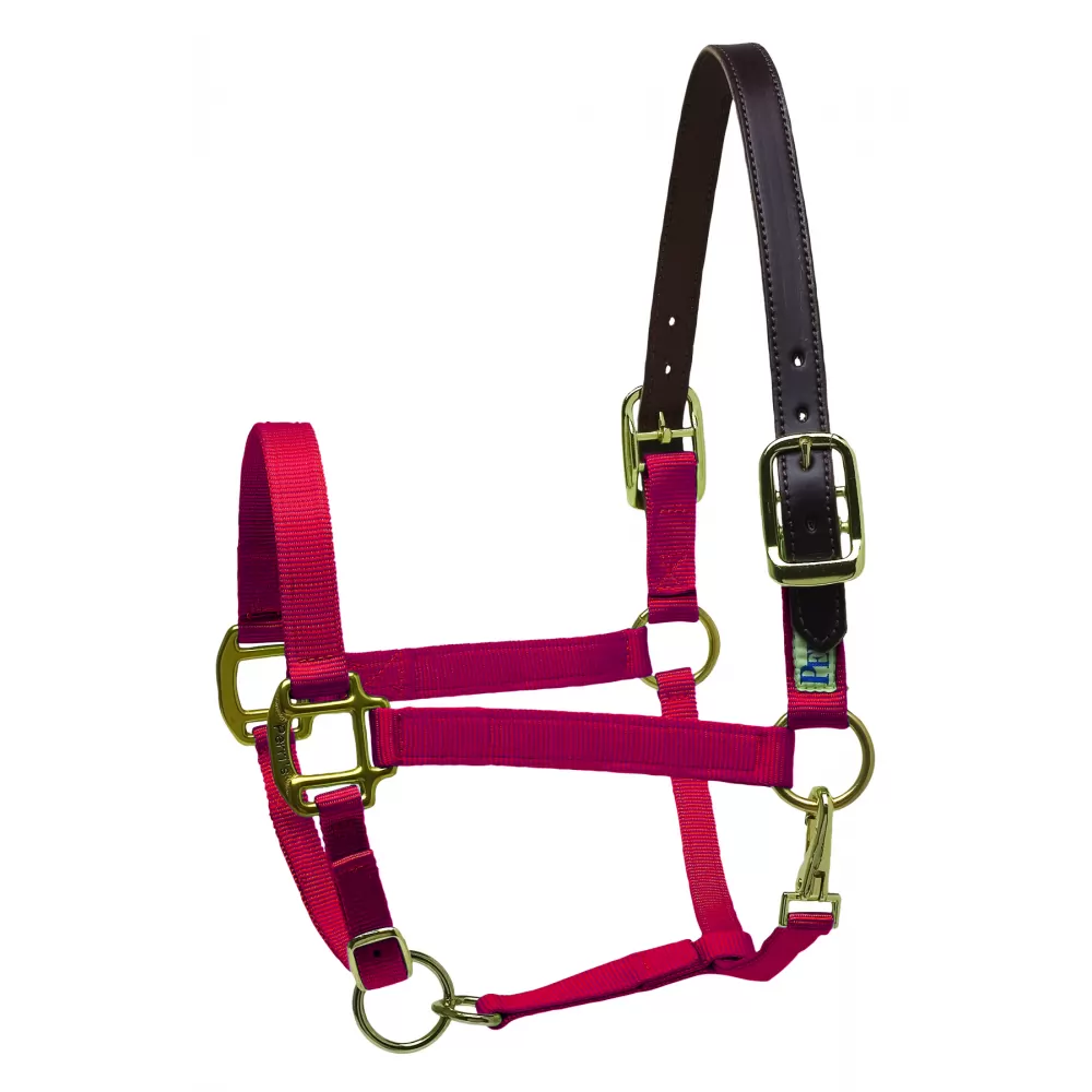 Perris Premium Nylon Safety Halter - Image 4