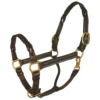 Perri's Twisted Leather Halter