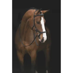 Rambo Micklem Deluxe Competition Bridle