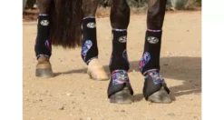 Professionals Choice VenTECH Elite SMB Value Pack