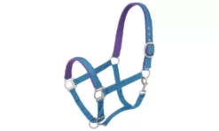 Nylon Padded Halter With Snap