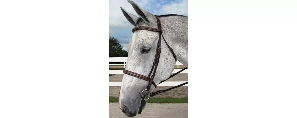 Henri De Rivel Pro Stress Free Fancy Padded Bridle