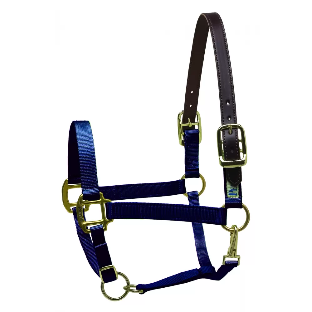 Perris Premium Nylon Safety Halter - Image 7
