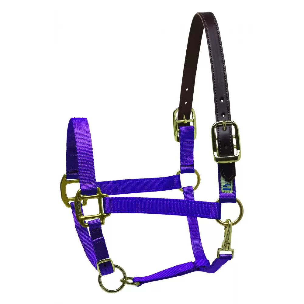 Perris Premium Nylon Safety Halter - Image 12