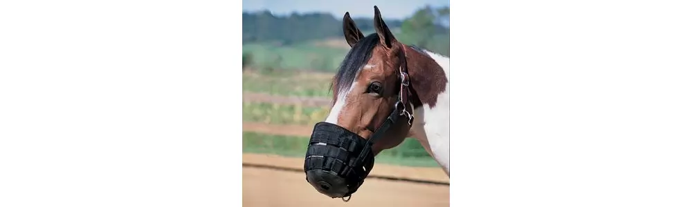 Weaver Grazing Muzzle - Image 3