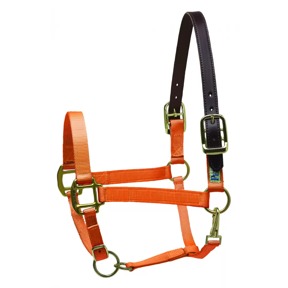 Perris Premium Nylon Safety Halter