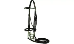 Gatsby Weymouth Double Bridle