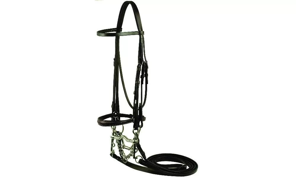 Gatsby Weymouth Double Bridle