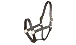 Gatsby Triple Stitched Leather Halter With O Snap