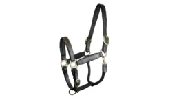 Gatsby Padded Leather Halter Fully Adjustable