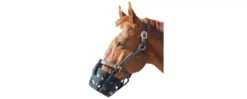 Best Friend Equine Grazing Muzzle