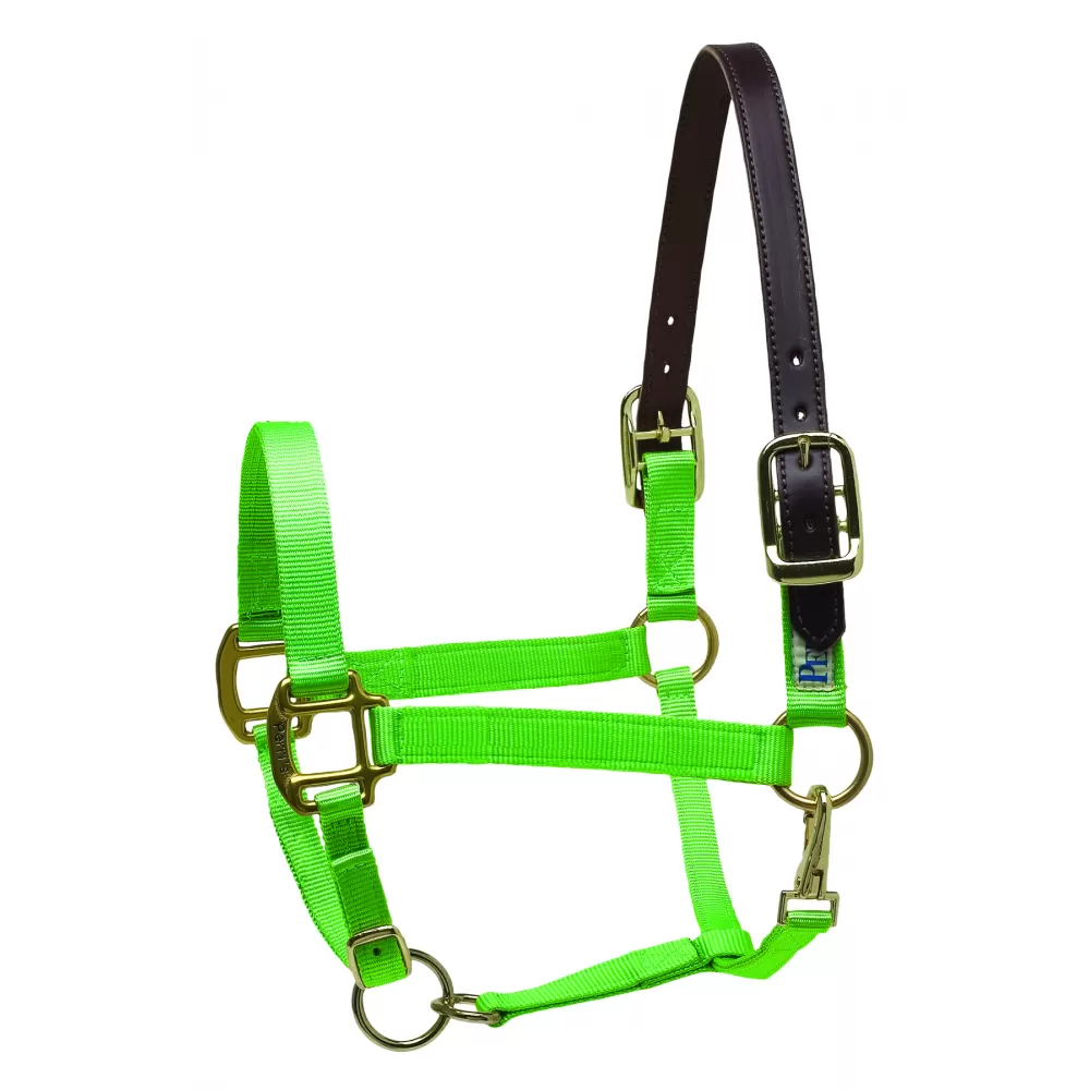 Perris Premium Nylon Safety Halter - Image 10