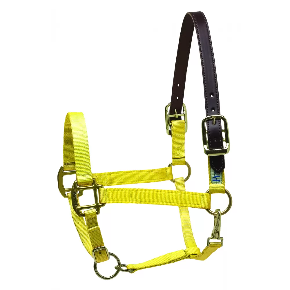 Perris Premium Nylon Safety Halter - Image 13