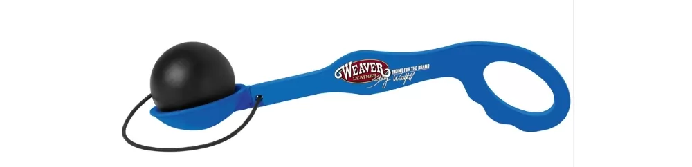 Stacy Westfall Egg & Spoon Training Tool