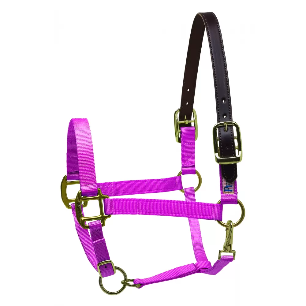 Perris Premium Nylon Safety Halter - Image 11