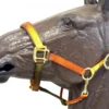 Horse Fare Earth Tone Nylon Breakaway Halter