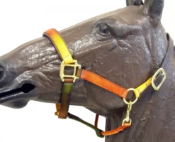 Horse Fare Earth Tone Nylon Breakaway Halter