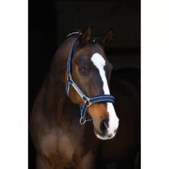 Rambo Padded Halter
