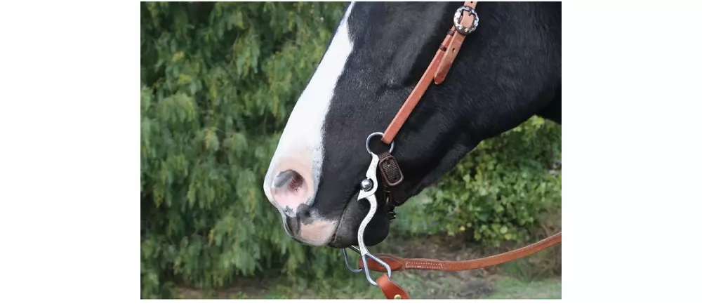 Professionals Choice Bob Avila Santa Maria Medium Port Bit - Image 2