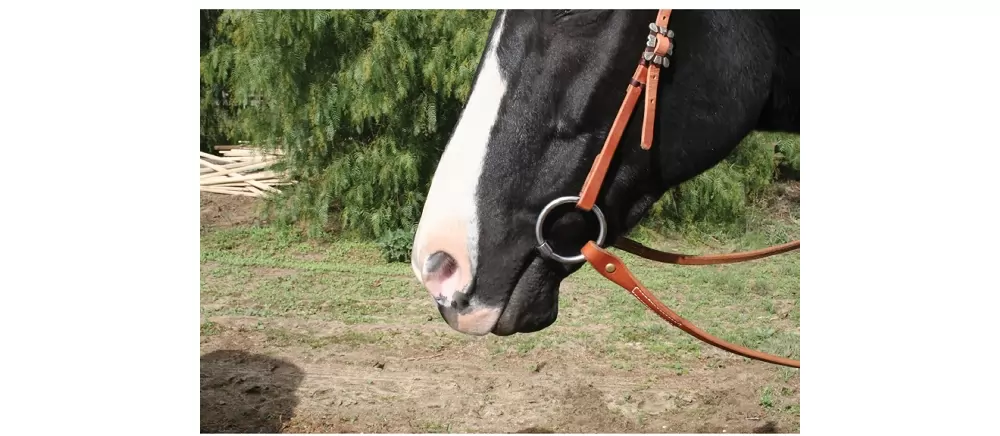 Professionals Choice Bob Avila Training Shank Three Piece Copper Roller Bit - Image 2