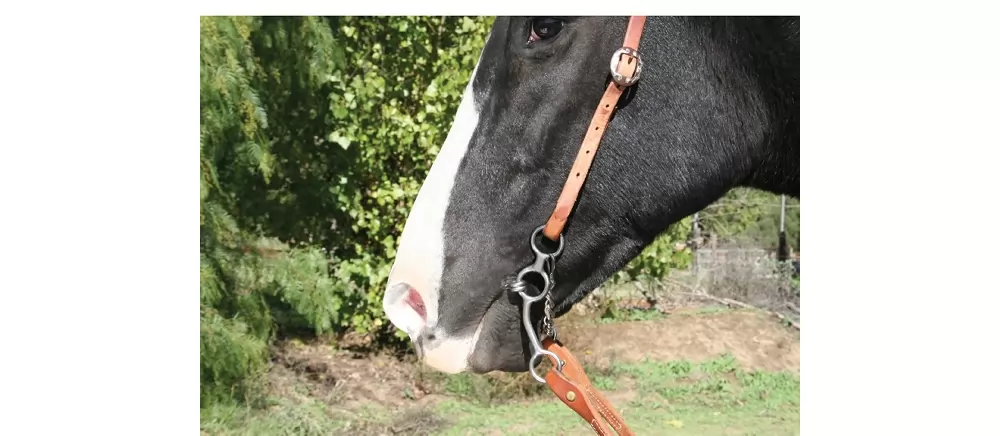 Professionals Choice Equisential Performance Long Shank Bit - Image 2