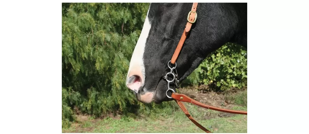 Professionals Choice Equisential Performance Short Shank Bit - Image 2