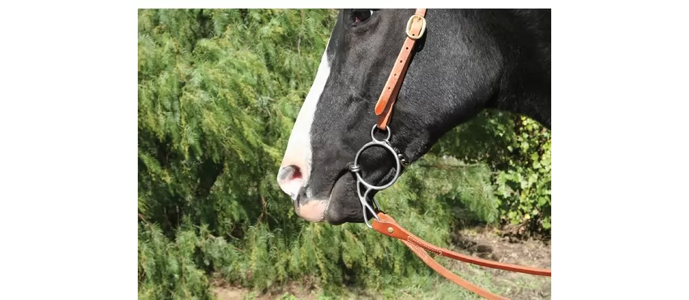 Professionals Choice Equisential Wonder Bit - Image 2