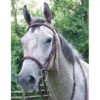 ProAm Square Raised Padded Fancy Stitched Bridle