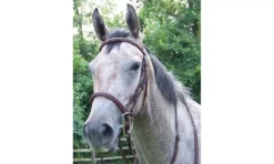 ProAm Square Raised Padded Fancy Stitched Bridle